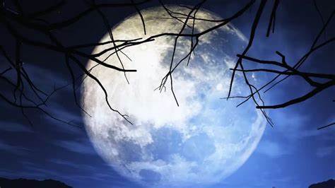 Once In A Blue Moon Facts About Tonights Super Blue Moon That Will