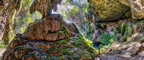 Westcave Outdoor Discovery Center - Texas Nature Preserve and Tours ...