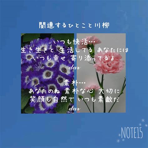 今日の花たち122金 花言葉と 関連するひとこと川柳 シネラリアサイネリア いつも快活･喜び･希望･元気･愉快 スプレーカーネーション 気持ちの高まり･熱愛･欲望･素朴｜だー｜note