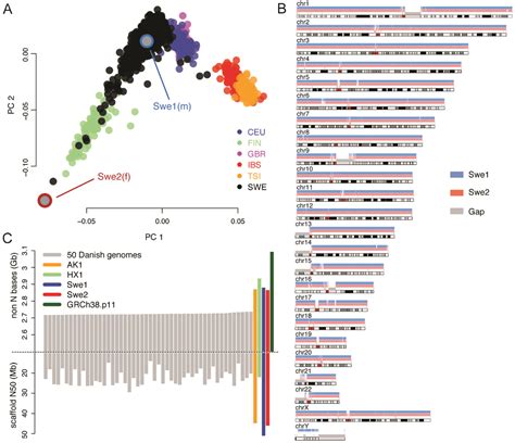 Genes Free Full Text De Novo Assembly Of Two Swedish Genomes