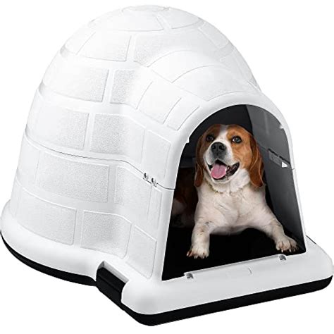 The Igloo Dog House Insulated Year Round Shelter For Your Dog