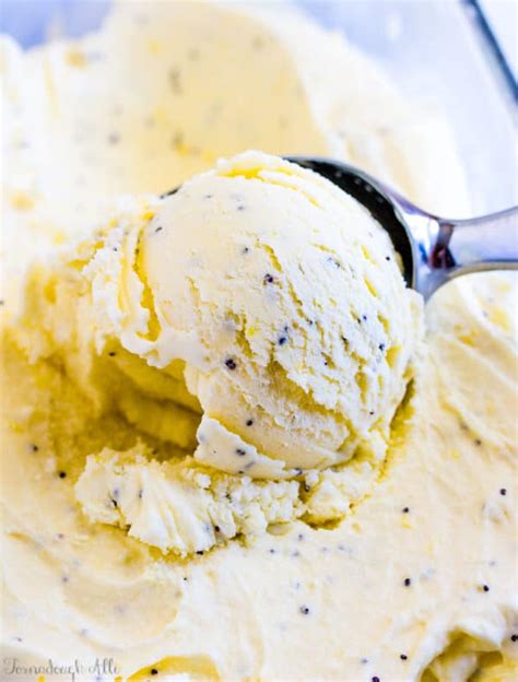 Lemon Poppyseed Ice Cream Tornadough Alli