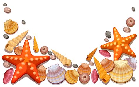 Seashell Png Isolated Transparent Hd Photo Png Mart