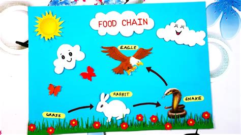 Food Chain Model Make And Explain A Food Chain Science Project