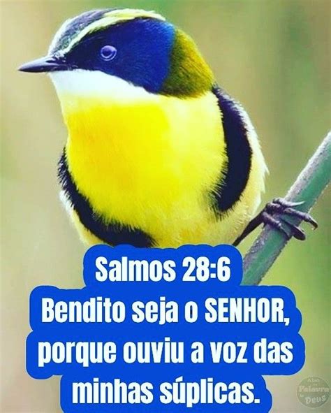 Pin De Renilde Oliveira Em EspÍrito Santo Salmos Lindas Mensagens