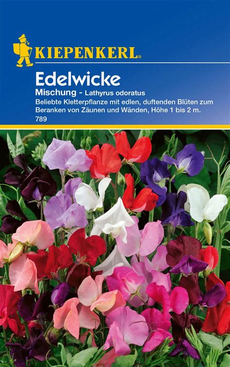 Kiepenkerl Duftwicke Bunte Mischung Packung Bloomling Deutschland