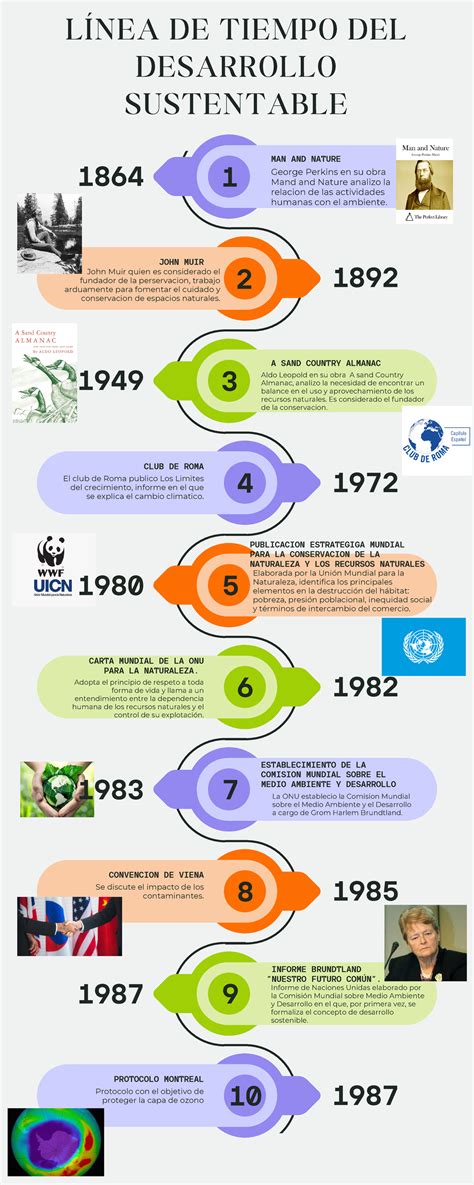 Infografía de Línea de Tiempo Histórico Cronología con Variantes de