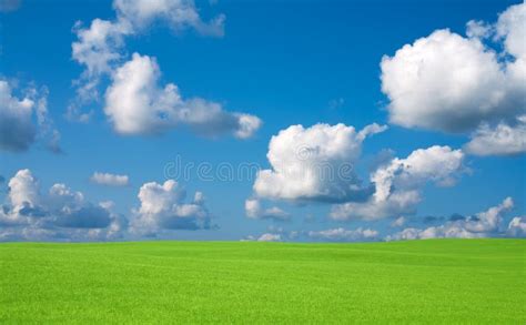 Grama Verde E C U Nuvens Foto De Stock Imagem De Brilhante Cena