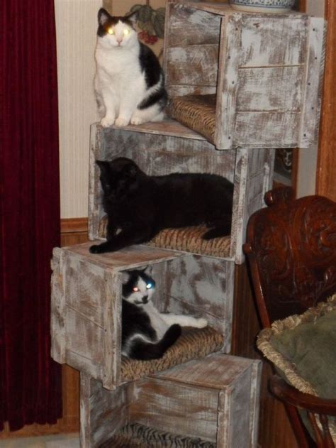 Cat Tree With Crates Hometalk