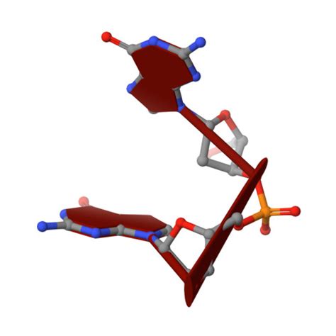 Rcsb Pdb Rxv Crystal Structure Of A Fulgidus Fen Bound To Dna