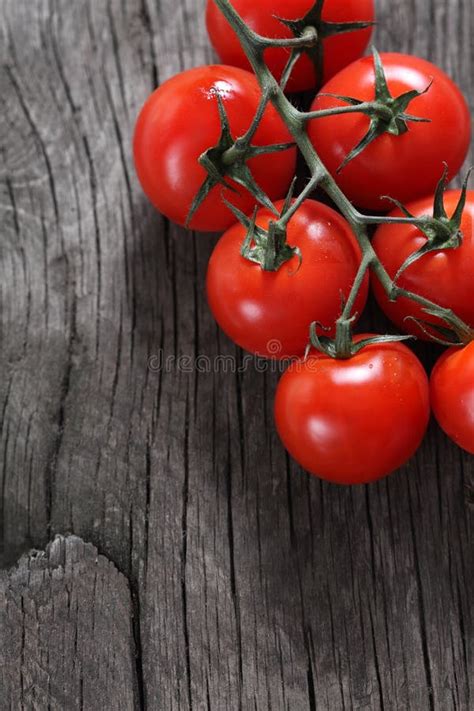 Tomates Rojos Cubiertos De Rocio Imagen De Archivo Imagen De