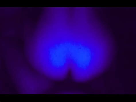 Girlfriend Rides Cock XVIDEOS