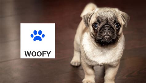 Woofy Coin Price Prediction: Is It Worth Keeping on Your Radar?