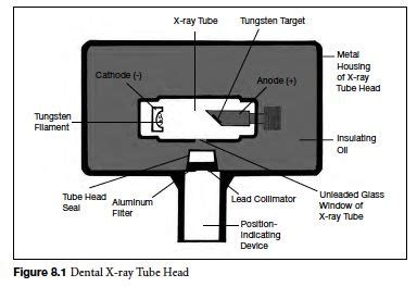 Tube Head And X Ray Tube Components Diagram Quizlet