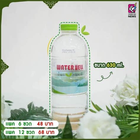 Water Well Mineral Water น้ำแร่ธรรมชาติ” ของจังหวัดเชียงใหม่ ที่ราคา