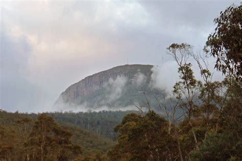 Walking On A Foggy Kunanyi The Journey And The Destination