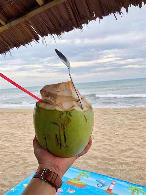 kelapa muda kelapa pantai seni makanan