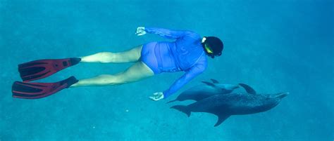 Dolphins, breathing, floating & healing - WildQuest | Wild Dolphin ...