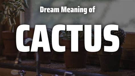 Cactus Dream Meaning Symbolism YouTube