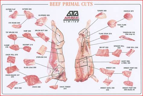 BEEF CARCASS & TRIMMINGS,Australia AGRICITY price supplier - 21food