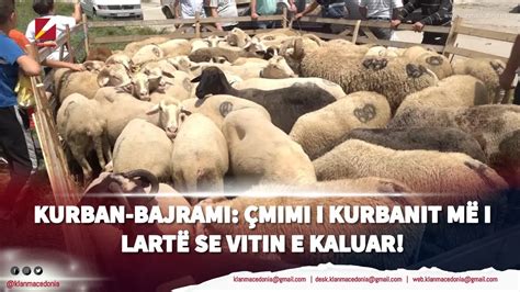 Kurban Bajrami Çmimi i kurbanit më i lartë se vitin e kaluar YouTube