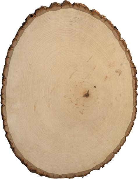 Walnut Hollow Rustic Basswood Round Extra Large 12 14 Wide With Live Edge Wood