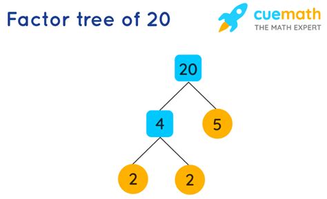 Factors Of 20 Find Prime Factorization Factors Of 20