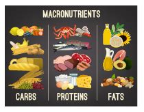 What Are Macronutrients And Why Are They So Important In Strength