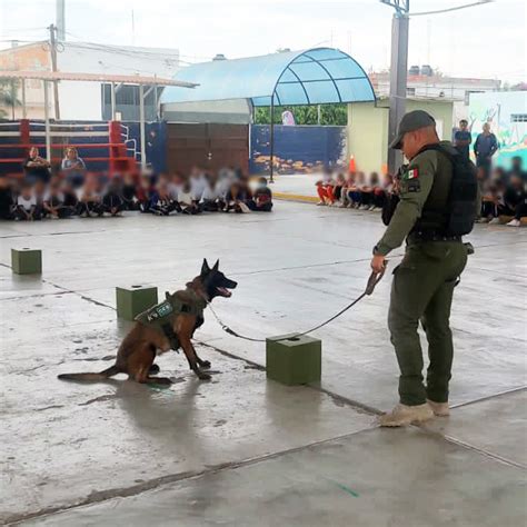 Secretaría de Seguridad y Protección Ciudadana SLP on Twitter La