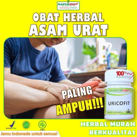 Jual Obat Asam Urat Penurun Zat Purin Ampuh Special Herbal URICOFIT