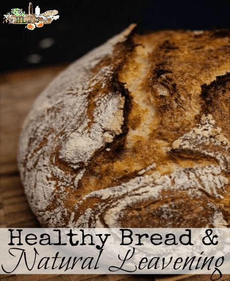 Healthy bread and Natural Leavening • Homestead Lady