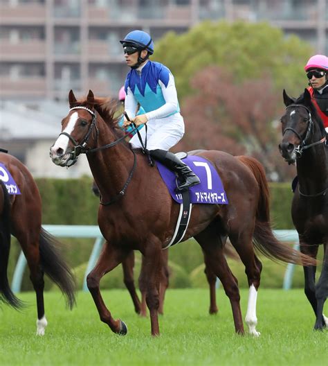 【注目馬動向】マイルcs3着のアドマイヤマーズは連覇懸かる香港マイルへ Umatoku 馬トク