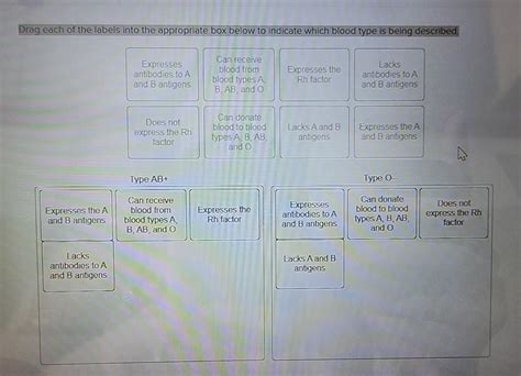 Solved Drag Each Of The Labels Into The Appropriate Box Chegg