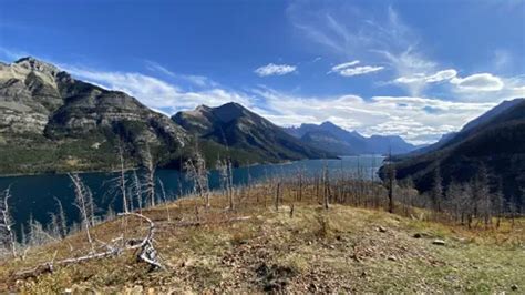 10 Best Hikes and Trails in Waterton Lakes National Park | AllTrails