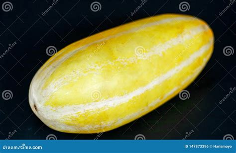 Timun Suri stock photo. Image of cucurbitaceae, mentimun - 147873396