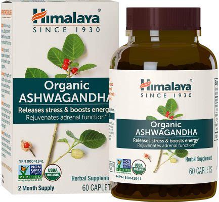 The 10 Best Ashwagandha Supplements to Buy in 2021 - Beauty Mag