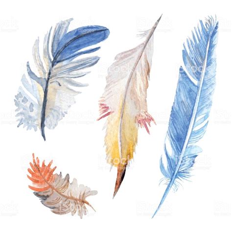 Watercolor Bird Feathers Collection Hand Painted Realistic Con