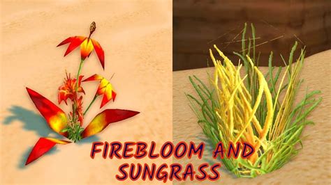 Retail Wow Firebloom And Sungrass Youtube