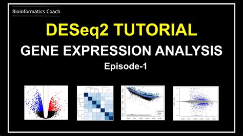 How I Analyze Rna Seq Gene Expression Data Using Deseq Youtube