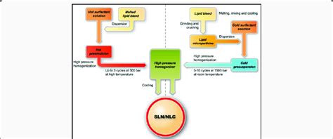 Hot And Cold High Pressure Homogenization Technique In The Production