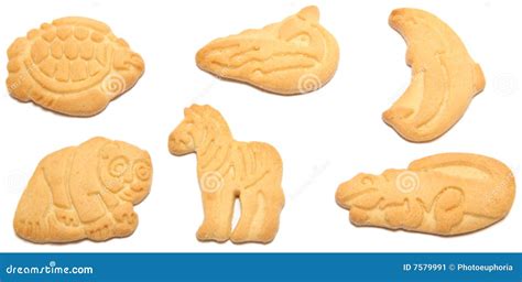 Animal Crackers stock image. Image of crunchy, crocodile - 7579991