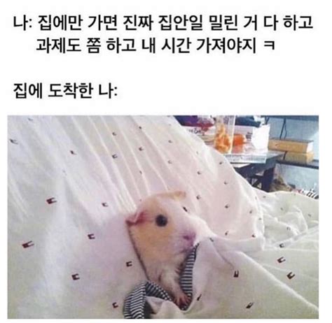 이거 너무 나잖앜ㅋㅋㅋㅋㅋㅋㅋㅋㅋㅋㅋㅋ 인스티즈instiz 일상 카테고리