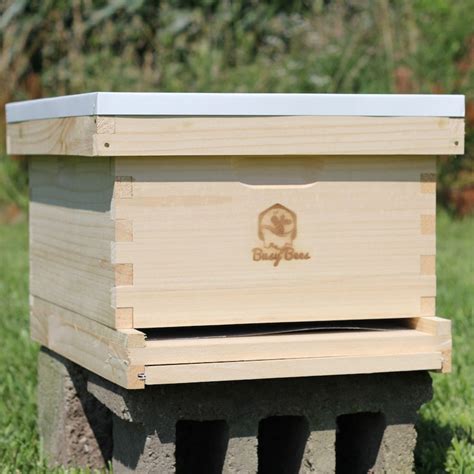 Honey Bee Starter Hive Complete With Frames And Foundations Etsy