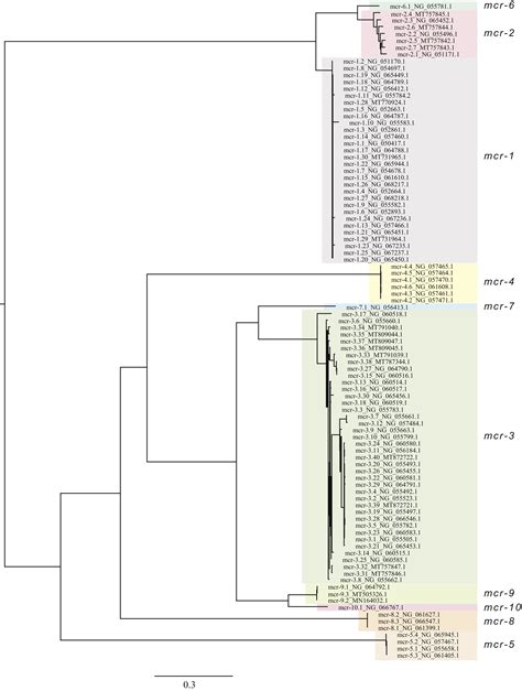 Rapid Detection And Differentiation Of Mobile Colistin Resistance Mcr