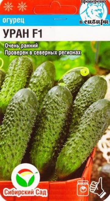 Купить Огурец Уран - SPirk.ru