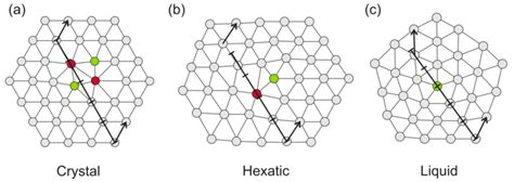 Schematic Representations Of Two Dimensional Structures Showing The