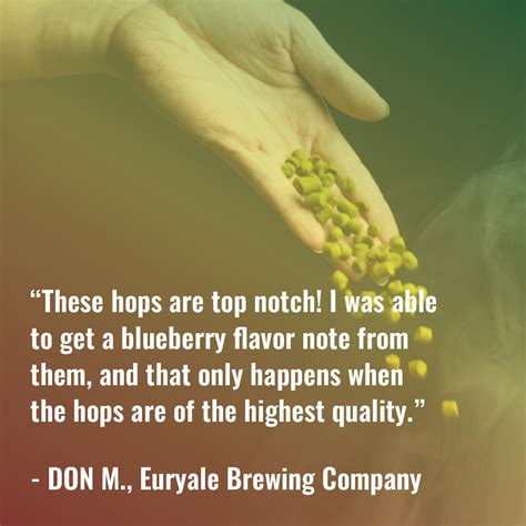 Mosaic Hops | Mosaic Hop Pellets – Yakima Valley Hops