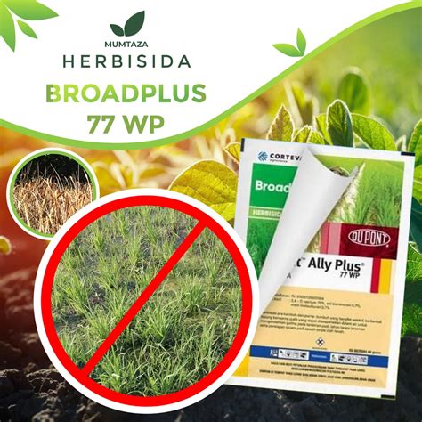 Jual Herbisida Broadplus Wp Gram Herbisida Sistemik Pra Tumbuh