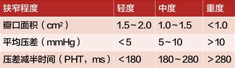 心脏超声报告不会看先熟记这 6 大指标 丁香园