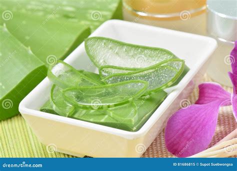 Prepared Aloe Vera Use In Spa For Skincare And Cosmetic Stock Image